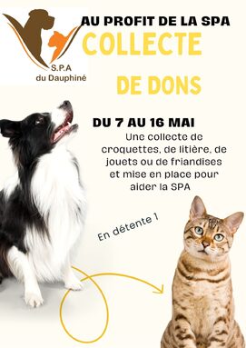 Vert jaune bold ligne collecte dons affiche A3.jpg